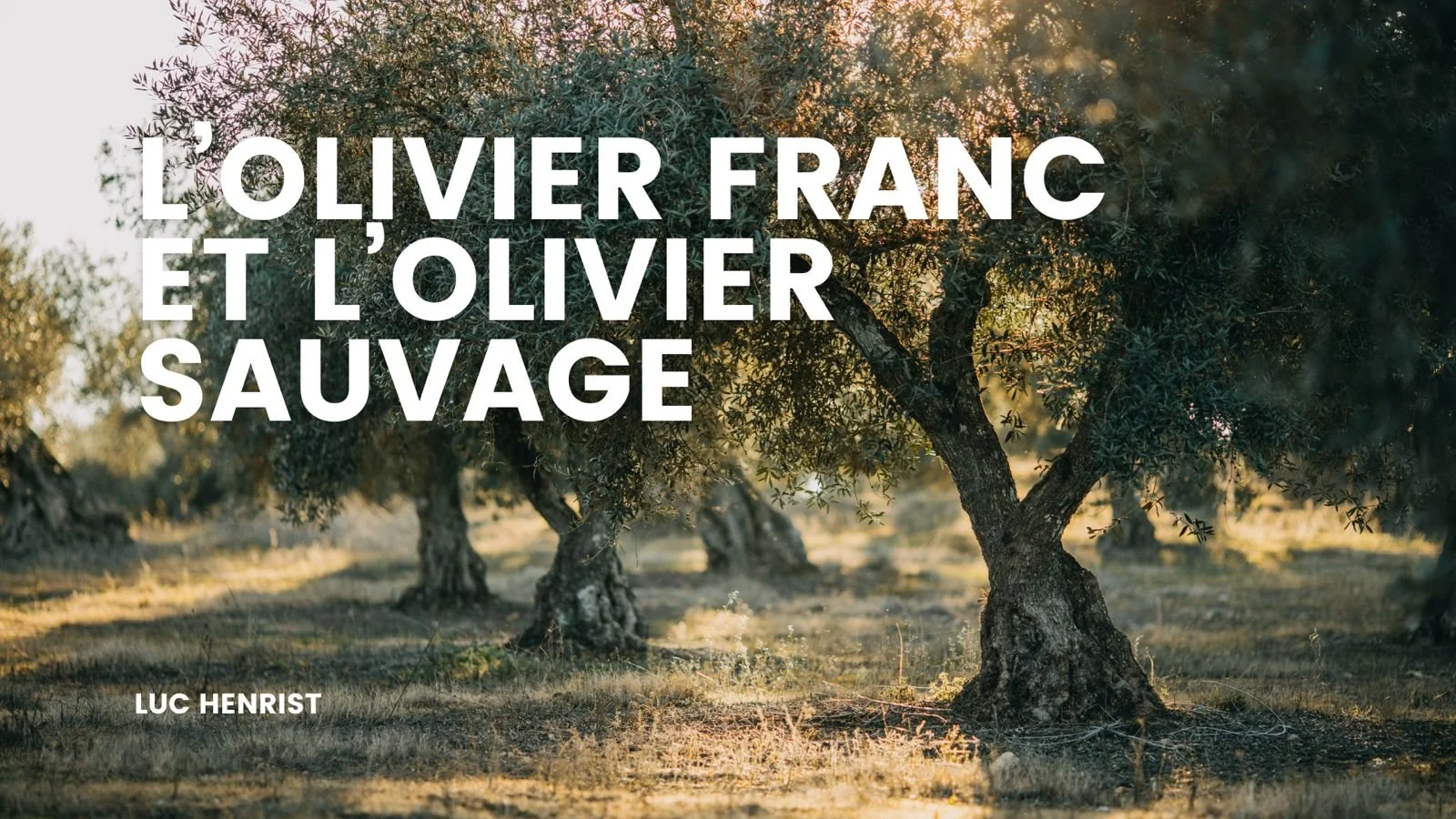 DÉBAT AVEC DANIEL ROMET 