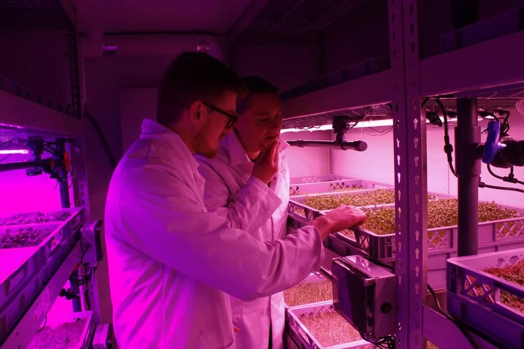 World-renowned plant scientist, Dr Antony Dodd, joins LettUs Grow