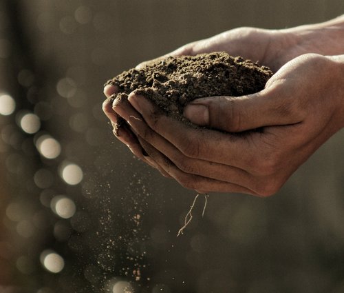 A fresh look at farming