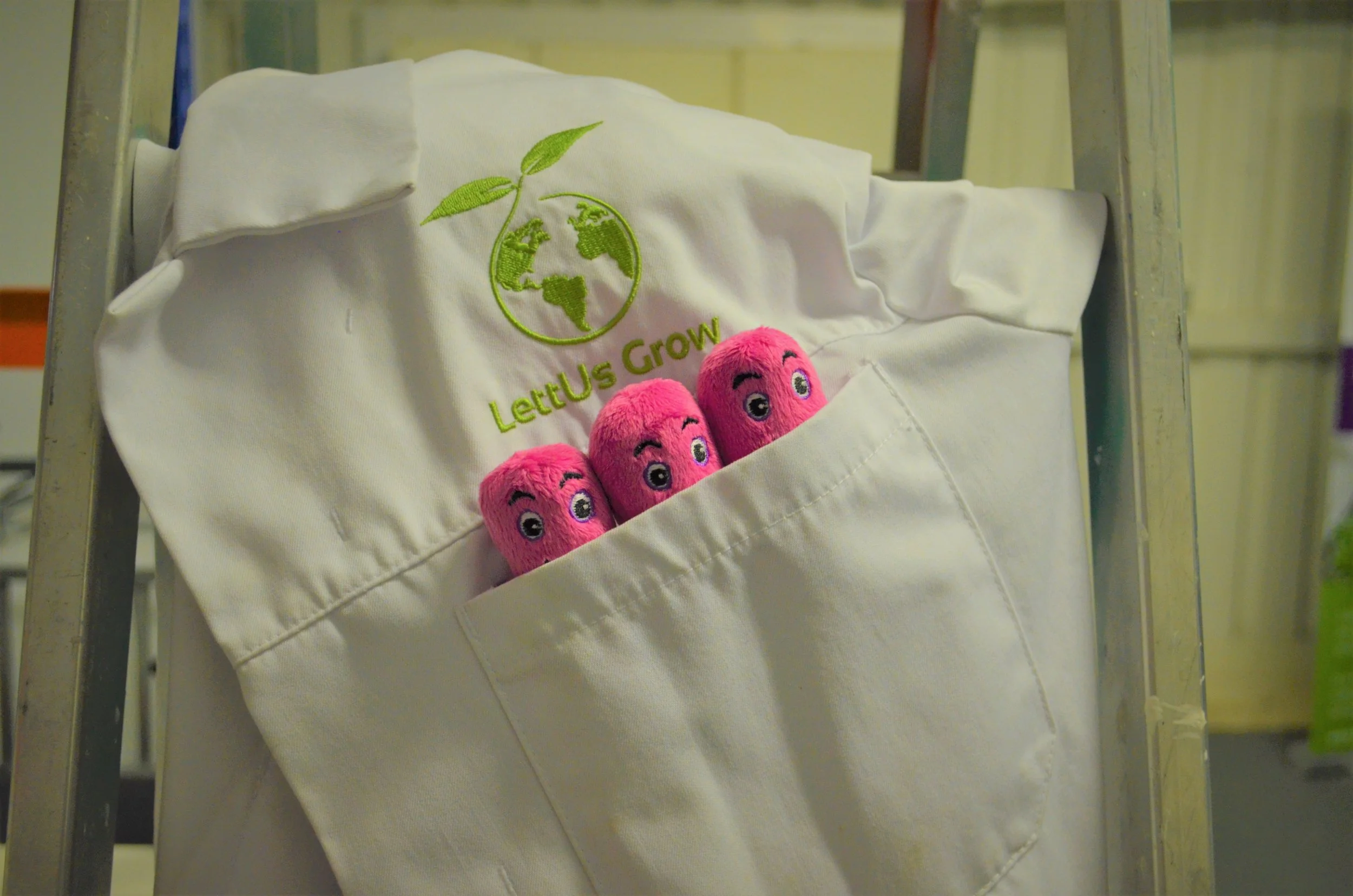 LettUs Grow &amp; Octopus Energy for Business lighten energy costs for vertical farms 