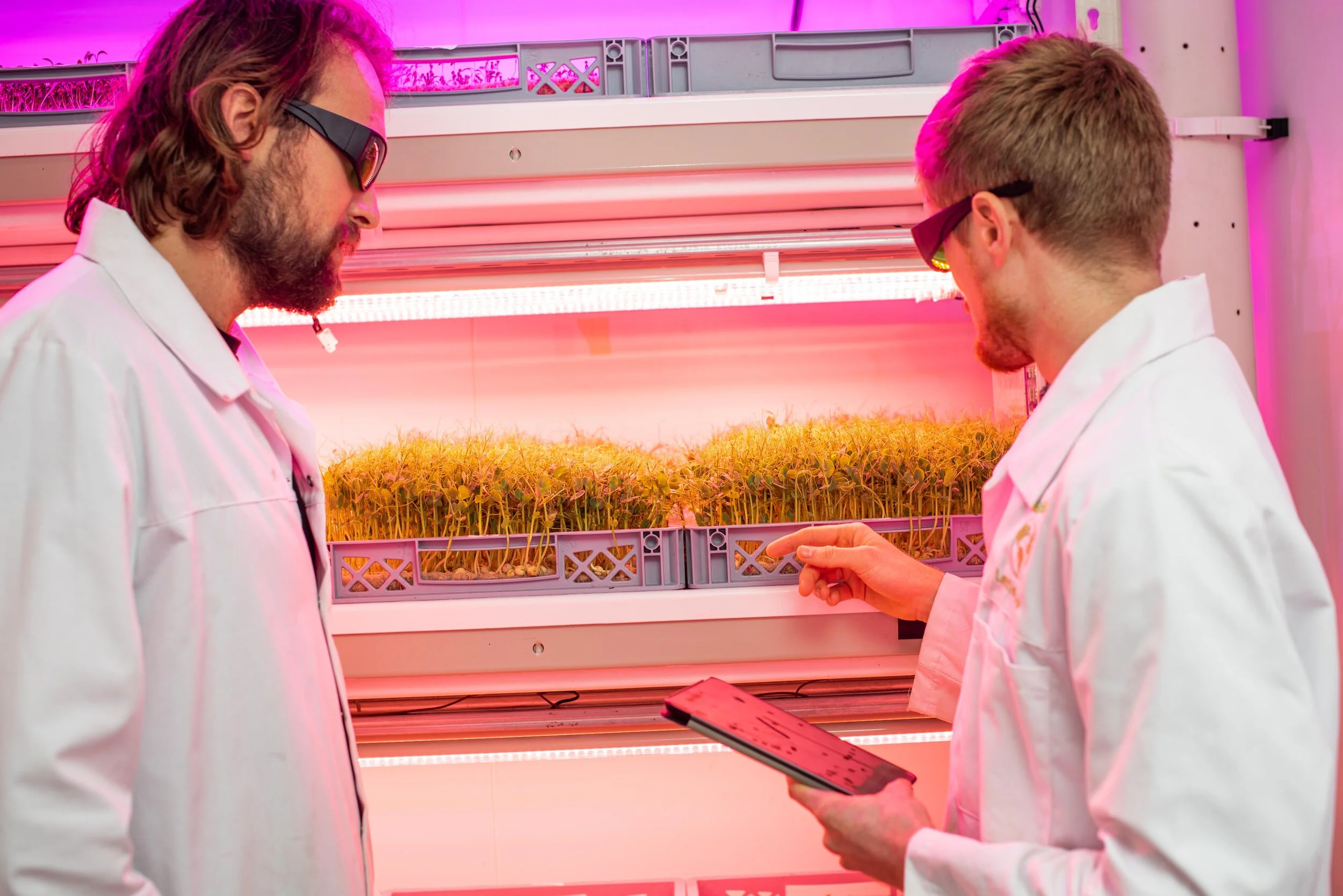 PhD opportunity: Vertical farming around the clock    