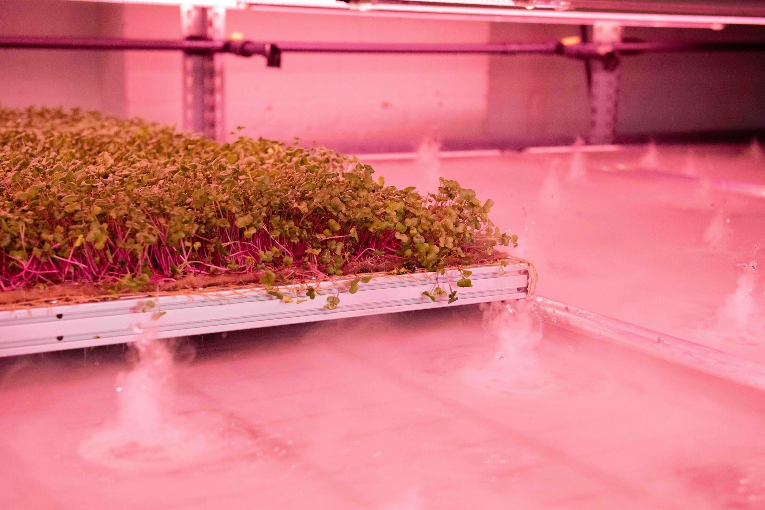 Aeroponic Rolling Bench Product Brochure