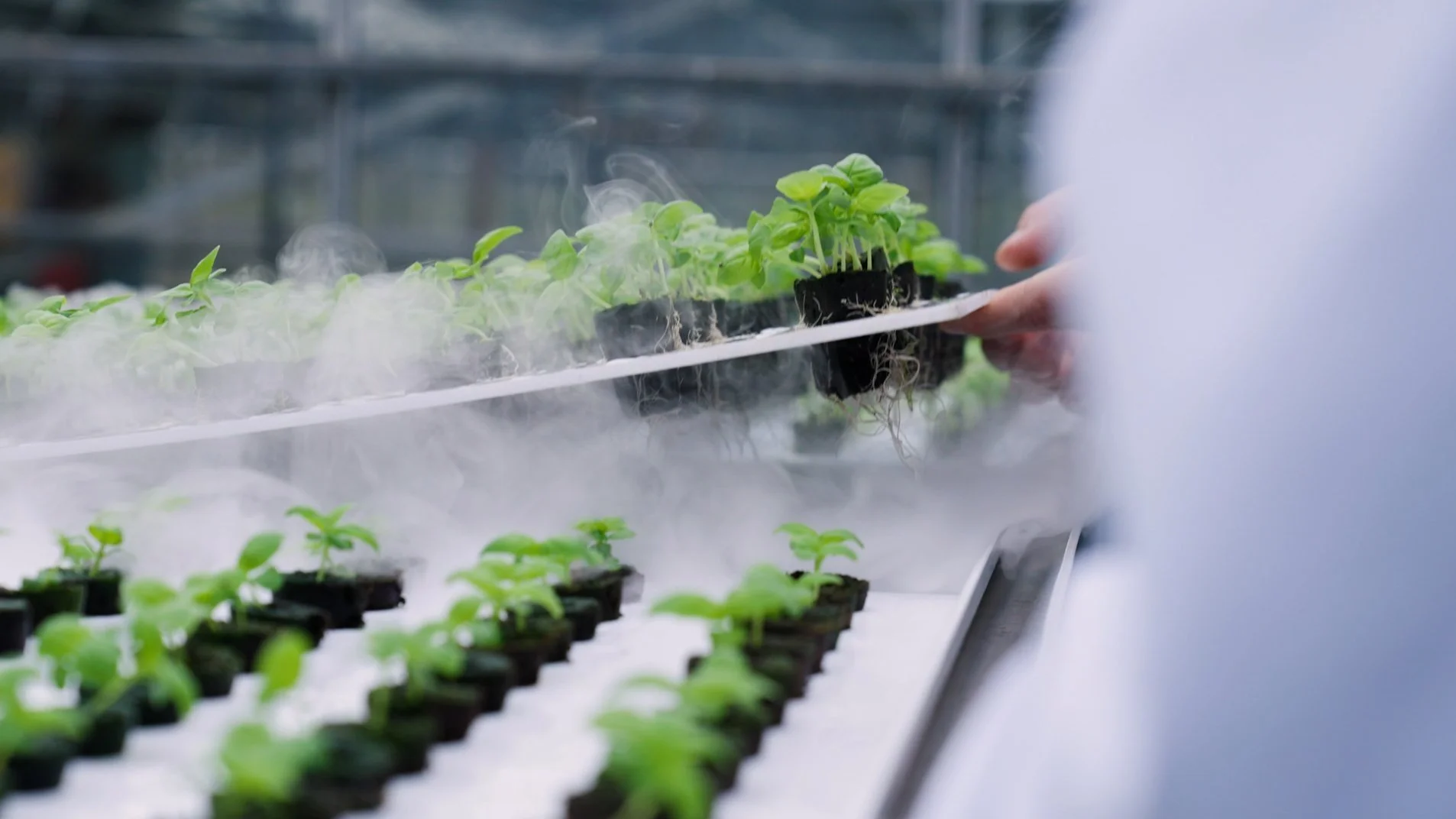 Accelerating indoor farming production with Aeroponic Rolling Benches™