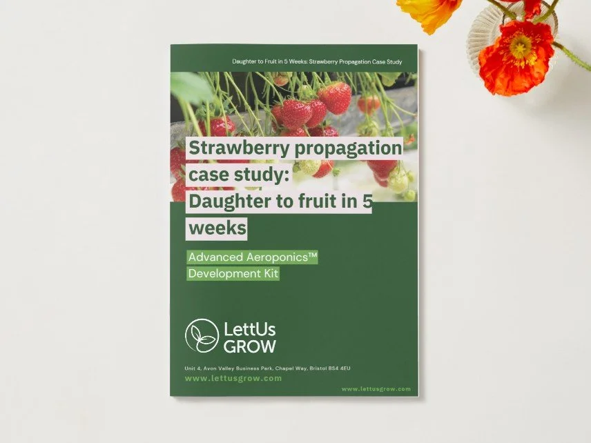 strawberry case study image.jpg