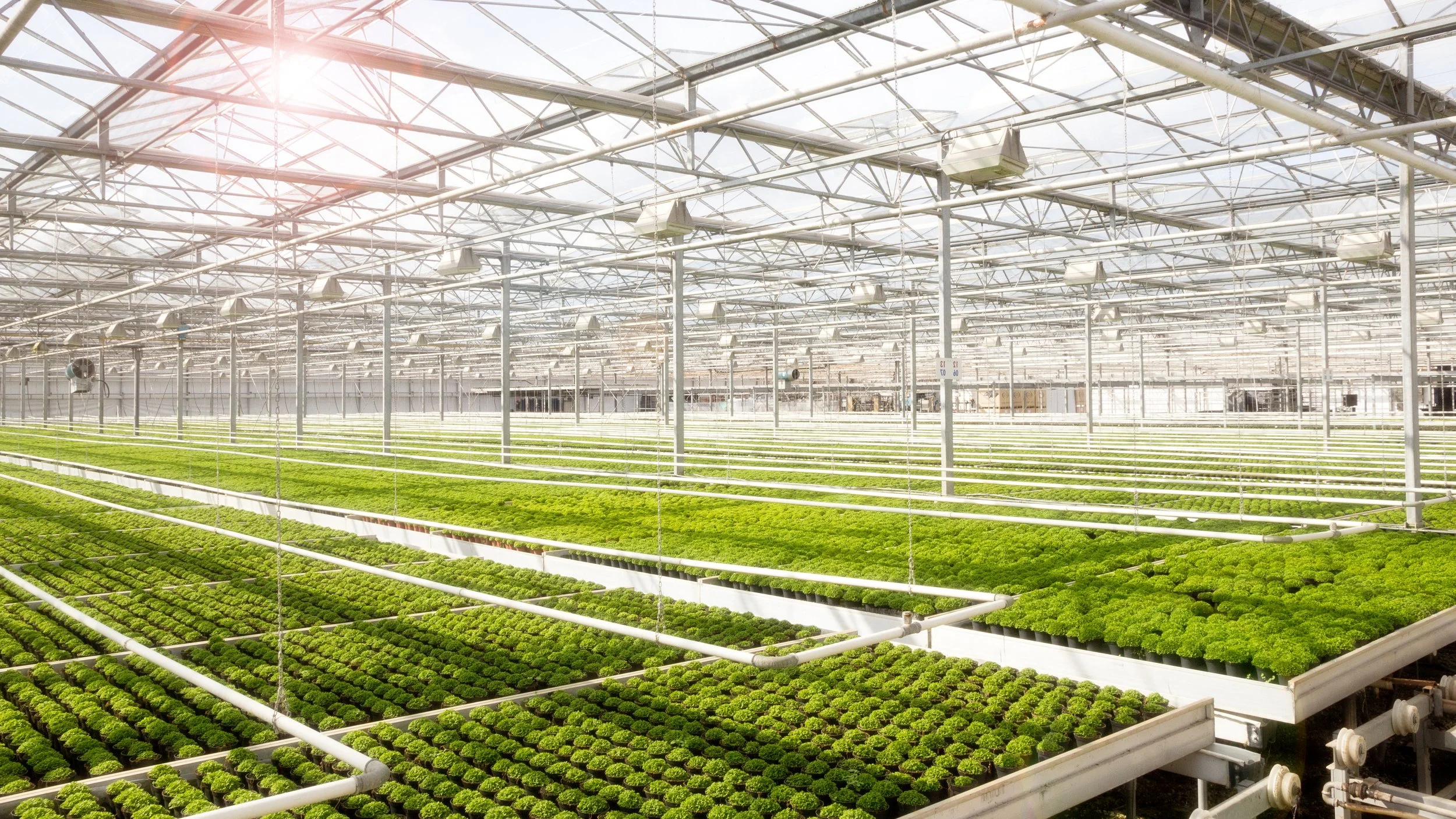 Vertical farming technology Aeroponic farming LettUs Grow