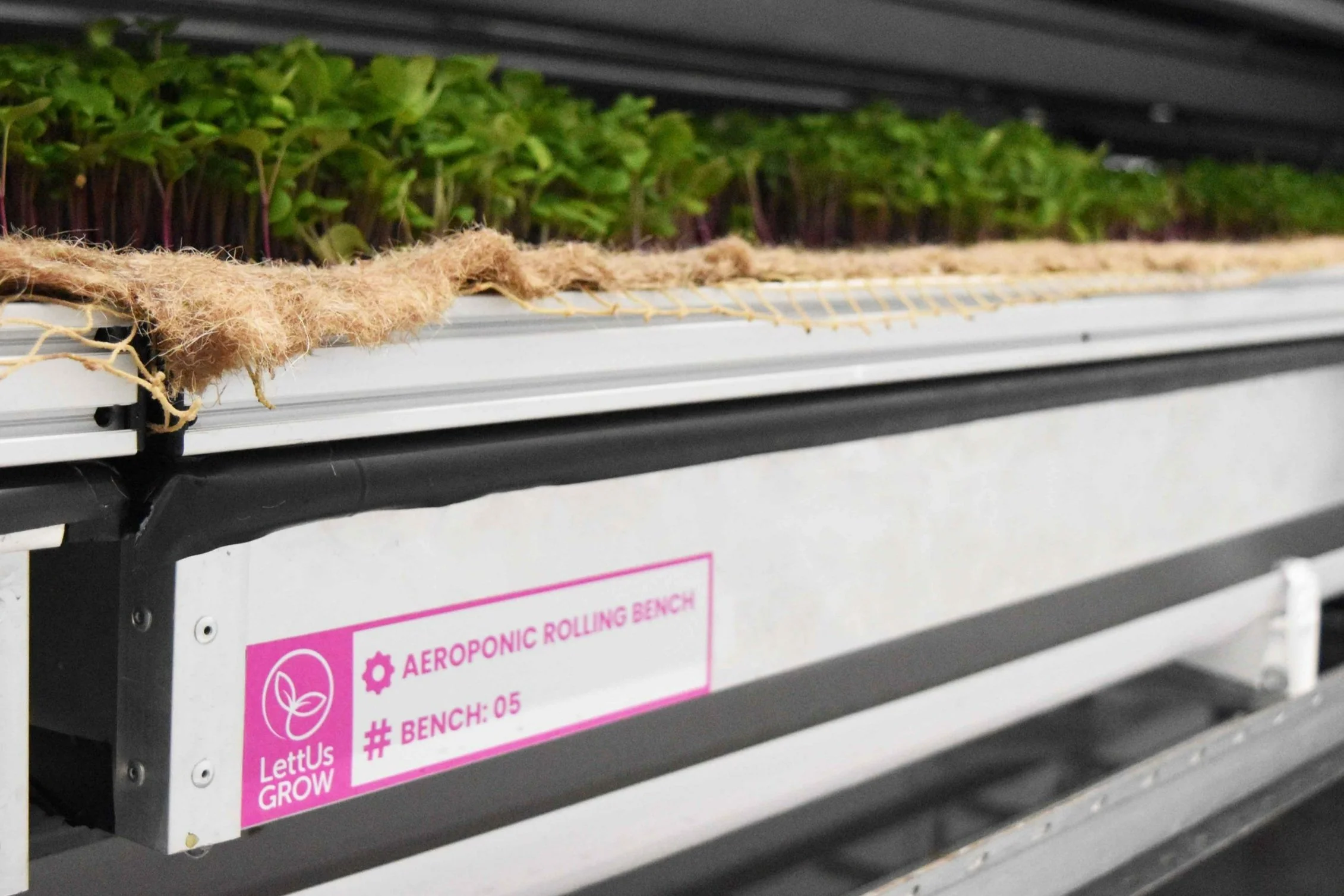 Aeroponic Technology for Greenhouse Irrigation | Ultrasonic Aeroponics