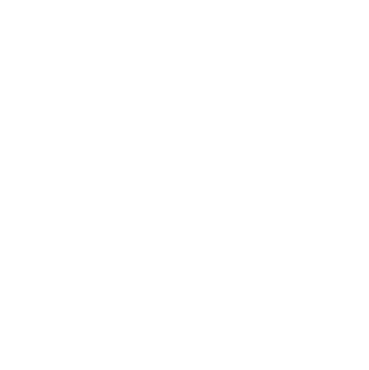 medusa festival