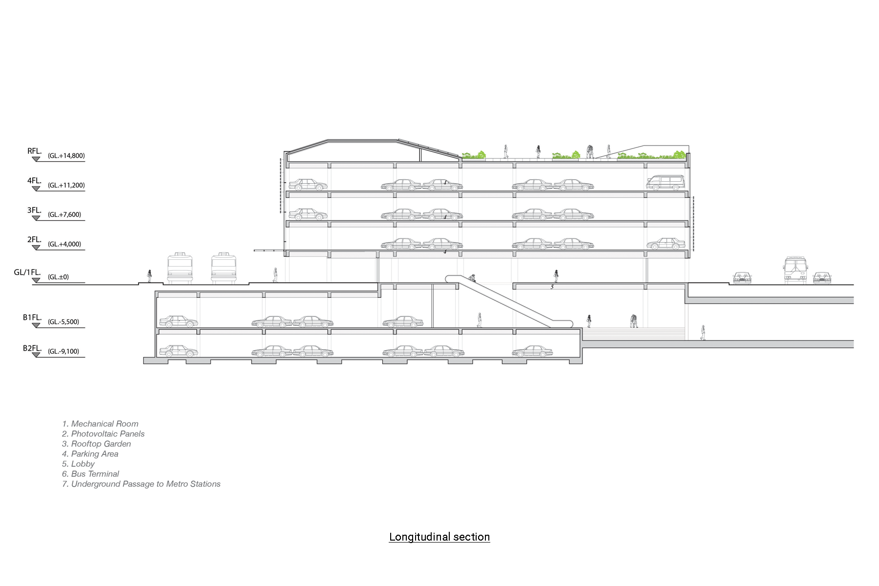 Longitudinal-section.png