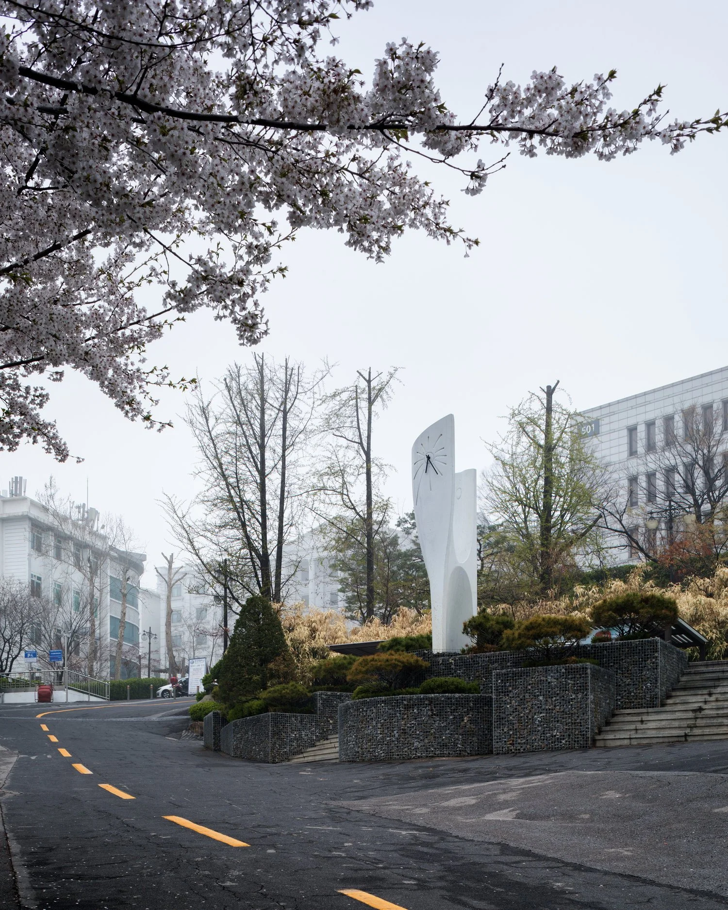 Semiotic Morphology 2017