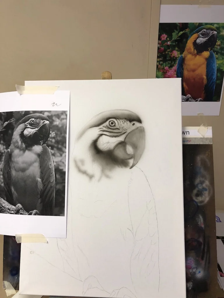 Parot-1.jpg