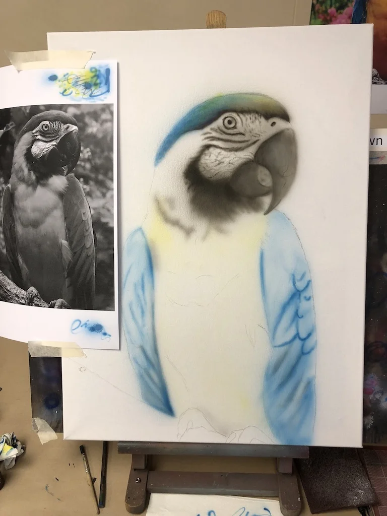 Parot-2.jpg