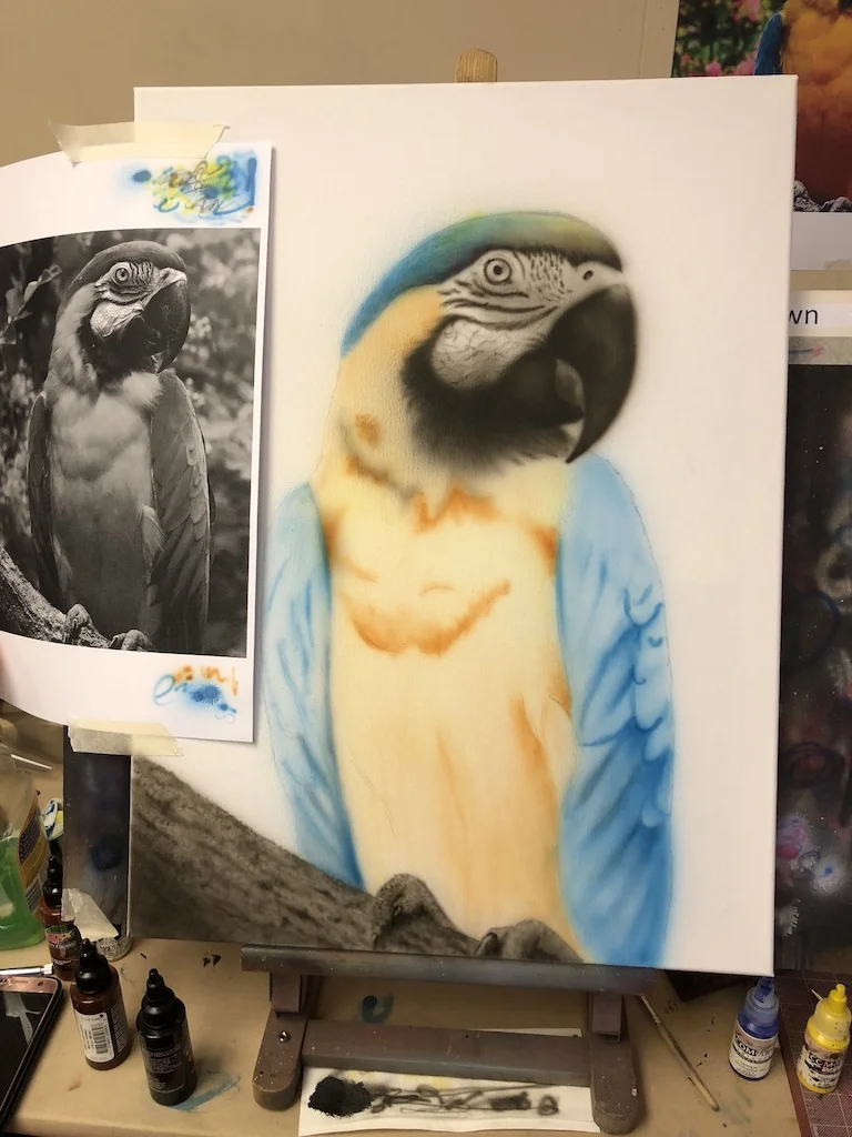 Parot-3.jpg