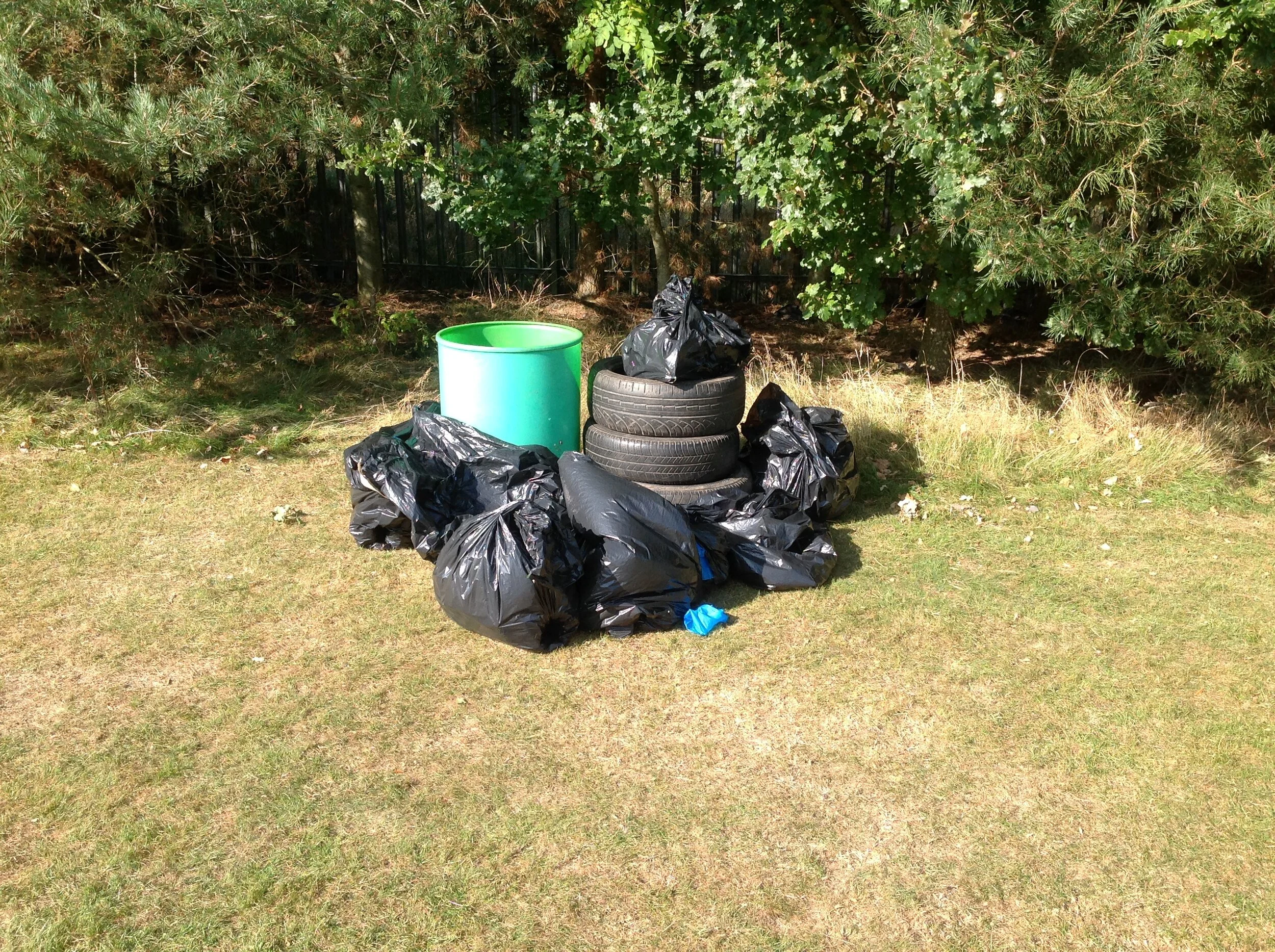 Year 6 litter picking