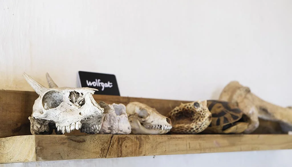 Wolfgatshelf.final.jpg