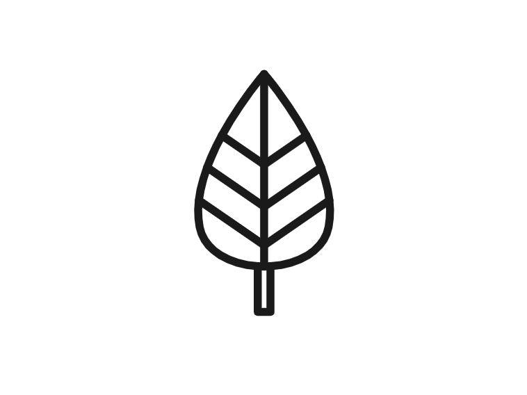 work_leaf_grow_kethelz.png