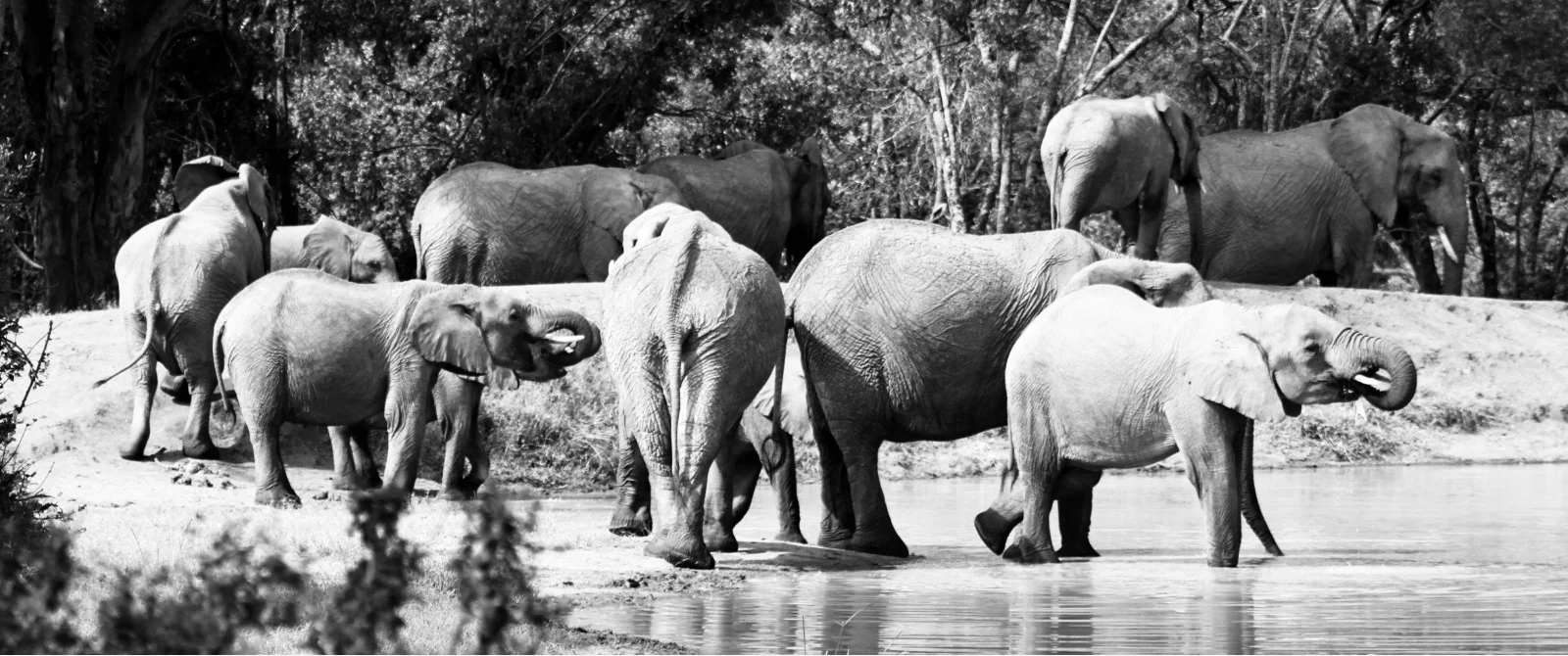The 'short rains' in Kenya - best or worst time to visit?
