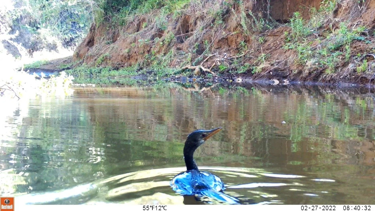 Supporting new initiative the 'Timau River Project'