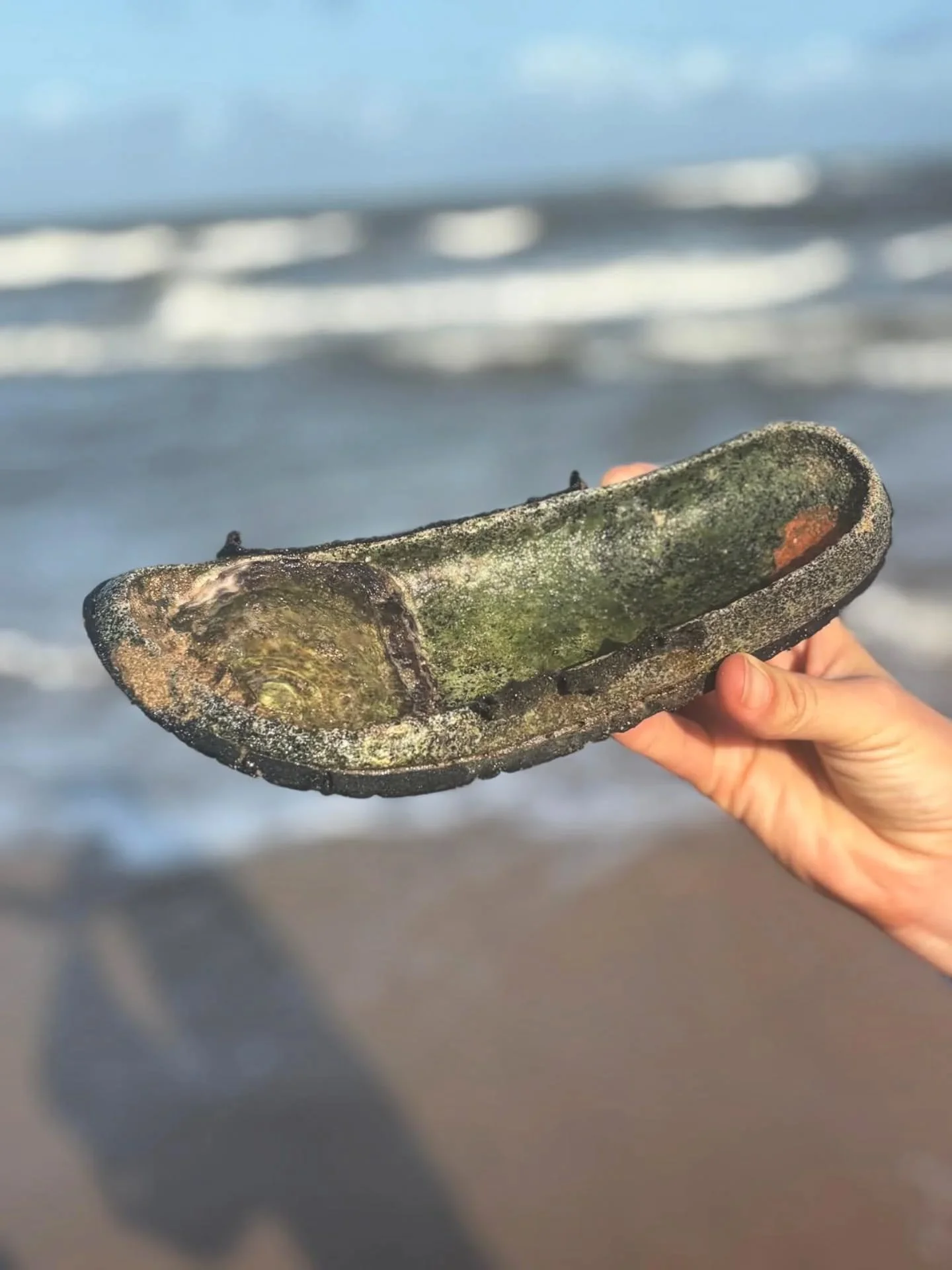 Lamu Island is known for being a bit of a cool place to hang out, but this oyster 🦪 has taken middle class to the next level 🤣 - by taking up residence in an old Birkenstock! 

Ocean rubbish washes up on beaches across the world but this shoe knows