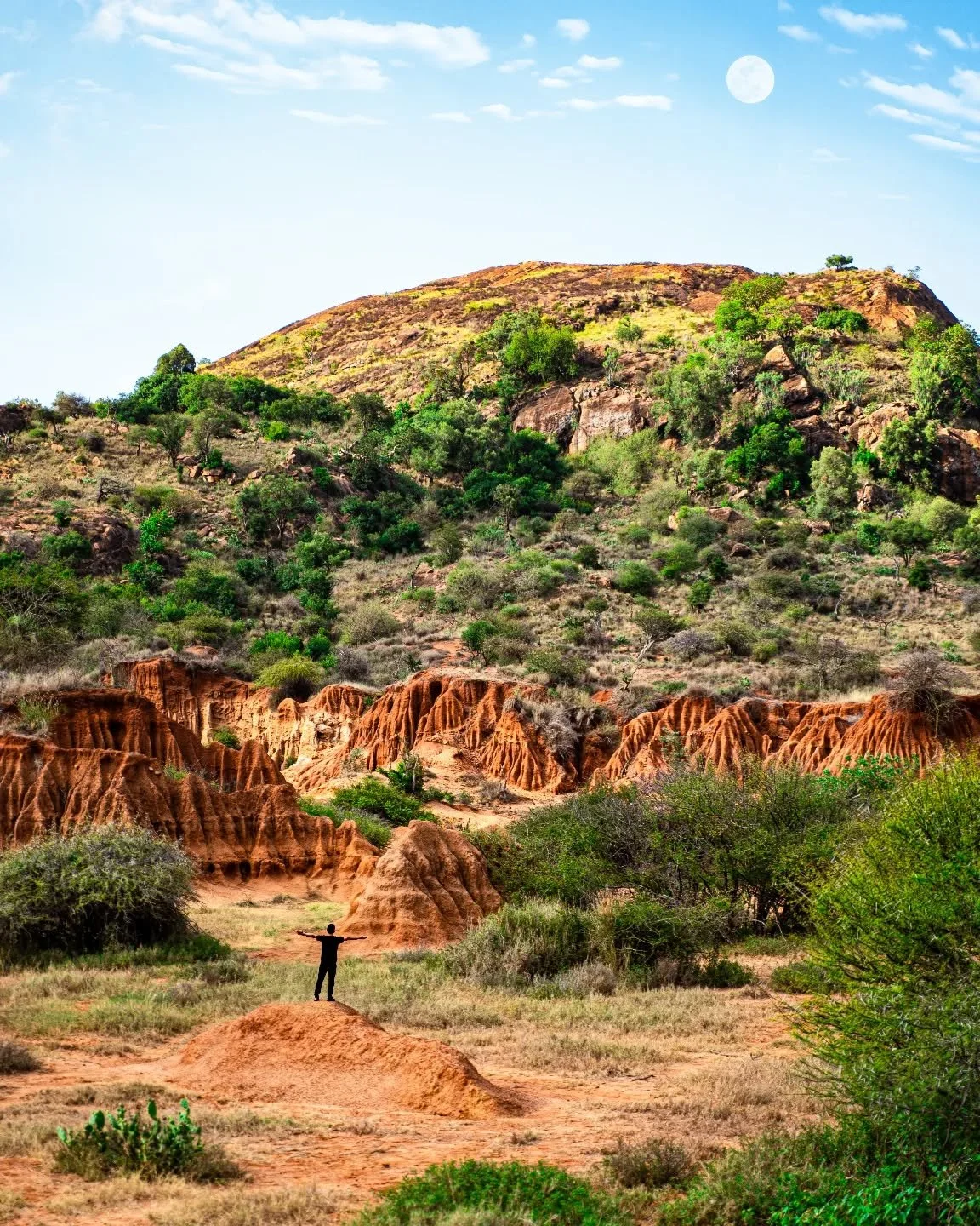 When you stand out in the wildernesses of Africa 🌍 you suddenly get the feeling of being very, very SMALLLLLLL!! 

Whether it's the huge rock faces, the endless green trees, the wildlife at every corner or even a beautiful full moon 🌕 (did you spot