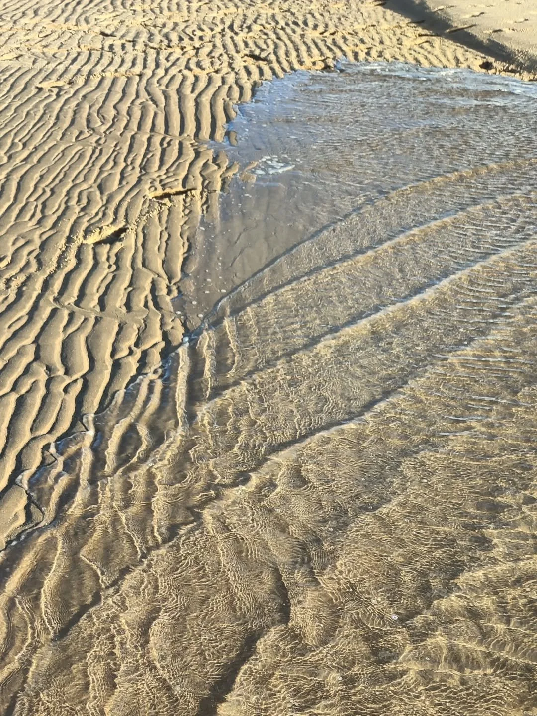 Salty air, sandy toes and nothing but beach vibes today 🌞 - hands up if you wish you in Lamu today 🙋🏼🙋🏿&zwj;♀️🙋🏽&zwj;♂️

#ChuchungiHouse #Lamu #beachhouse #tropical #Kenya #coastal #beach #safari #travelgram #TheSafariSeries