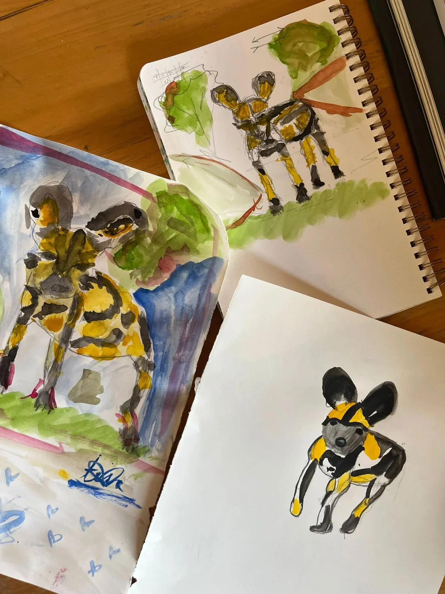 ✨ Manifest it! ✨ We had a lovely family from Nairobi visiting us over Kenyan half term - their daughter was desperate to see wild dogs. While we haven't had a pack crossing Lolldaiga in a couple of months, it didn't stop the girls from painting their