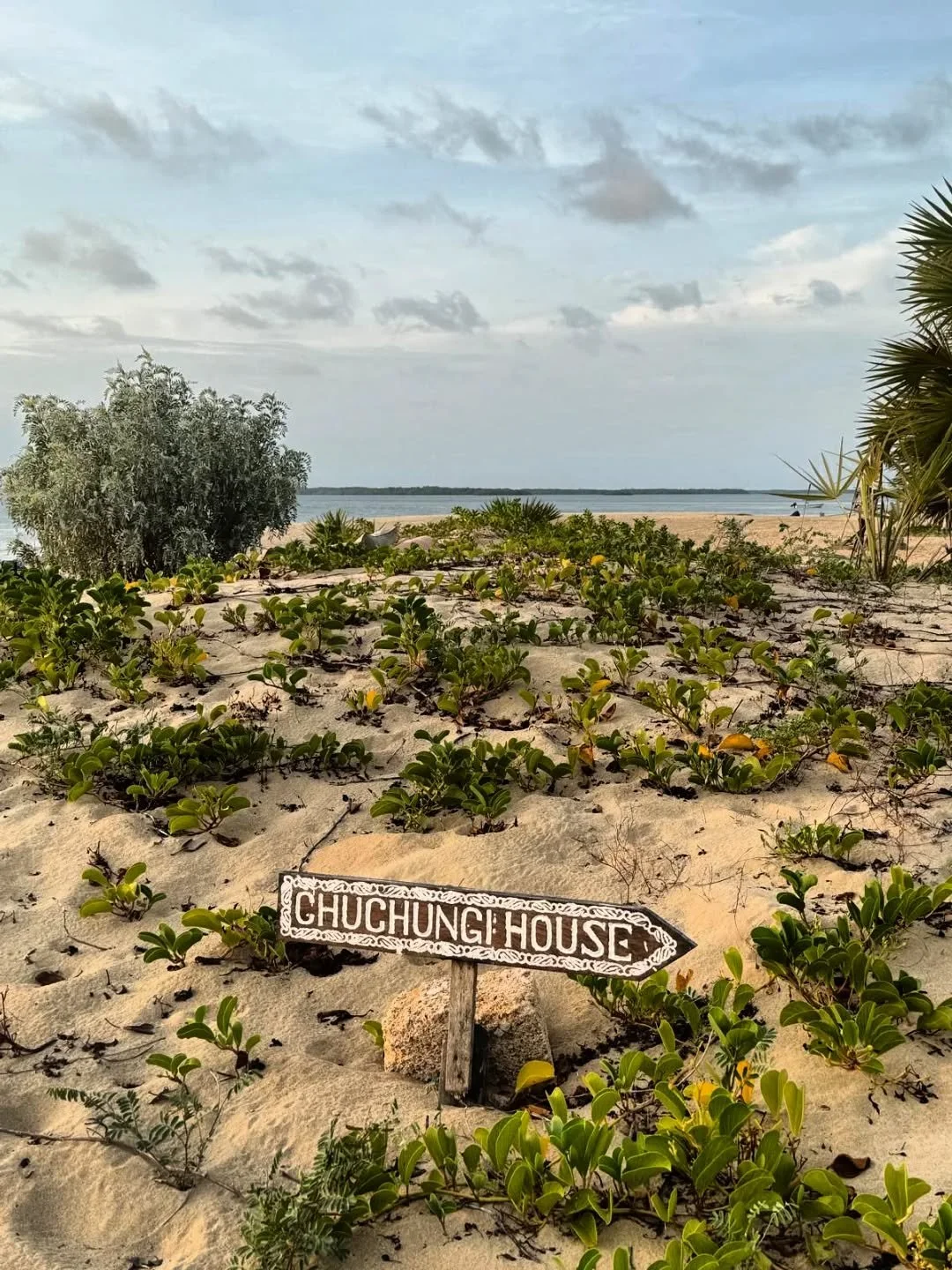 Wake up 🌞 and shake off the sleep 😴 with a refreshing dip in the world's most beautiful waters... Lamu island is waiting for you 🌍...

📸 @vanessa_macmahon 

#ChuchungiHouse #Lamu #beachhouse #tropical #Kenya #coastal #beach #safari #travelgram #T