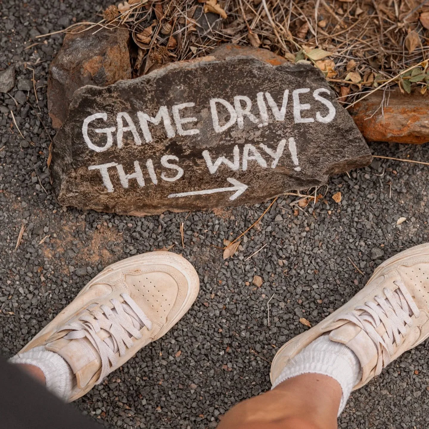 🦁 Sunday Funday! 🦒 What better way to start your Sunday by heading off on a game drive? 

With lions, elephants, hyenas, leopards, cheetahs, giraffes, zebras and waaay more calling Lolldaiga Hills their home, your day can turn into an adventure fro