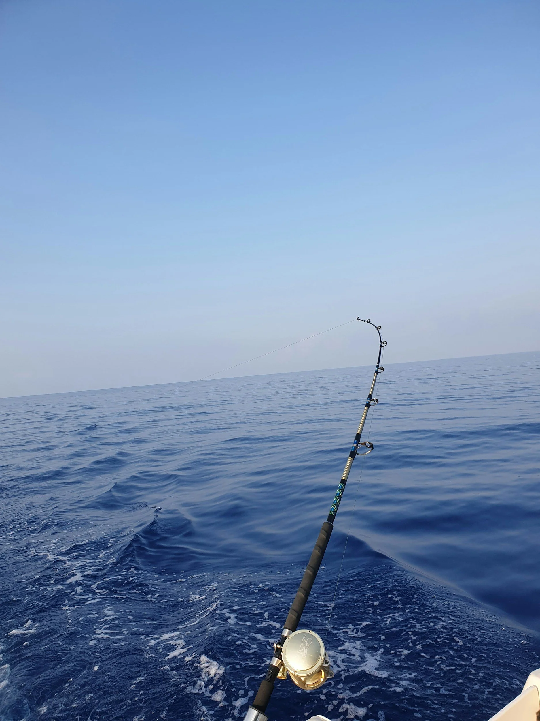 A fishing rod extending into the ocean with blue water and a clear sky in the background.