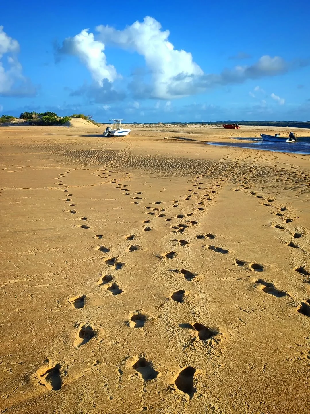 Glorious mornings on Lamu island - deep sand, fluffy clouds and classic Kizingoni views 🌤️. 

The Kizingoni area is perfect for long beach walks; start on the creek side and walk all the way around to the ocean side and end back at the house for a c