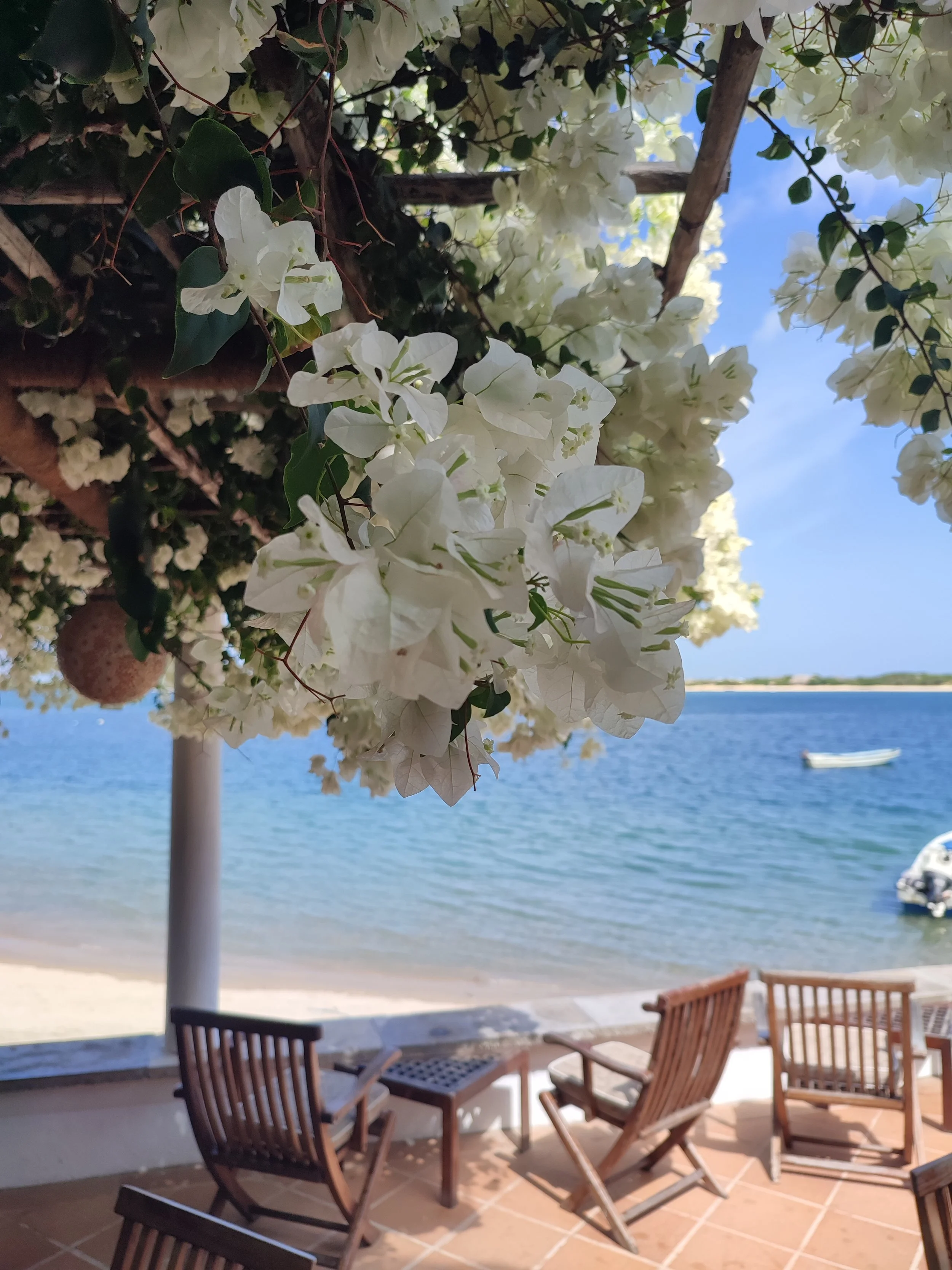 A view of a deck at ocean with a white flowering plant, multiple wooden chairs, a bench, and a view of the water with a boat and a distant shoreline under a partly cloudy sky.