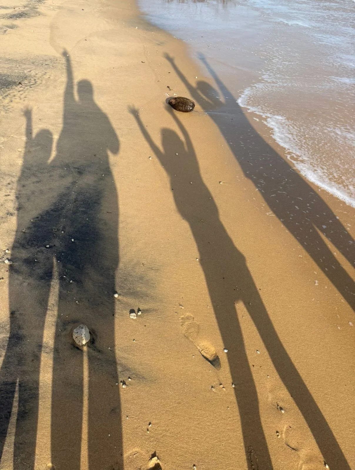 Shadows of two people with arms raised along a sandy beach near the water's edge, with scattered shells and rocks on the sand.