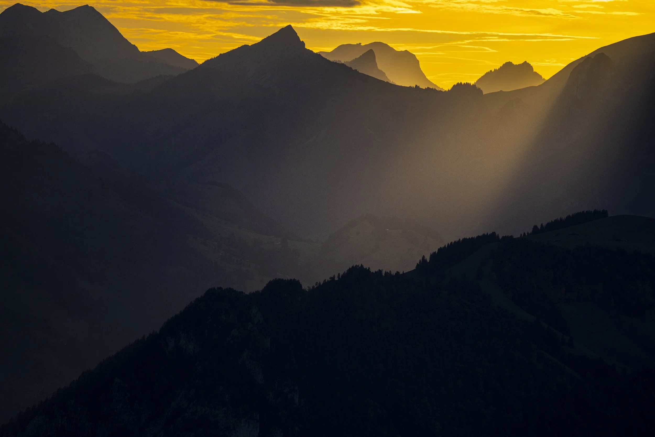 Karsten_Mosebach_Steinbock-8168.jpg