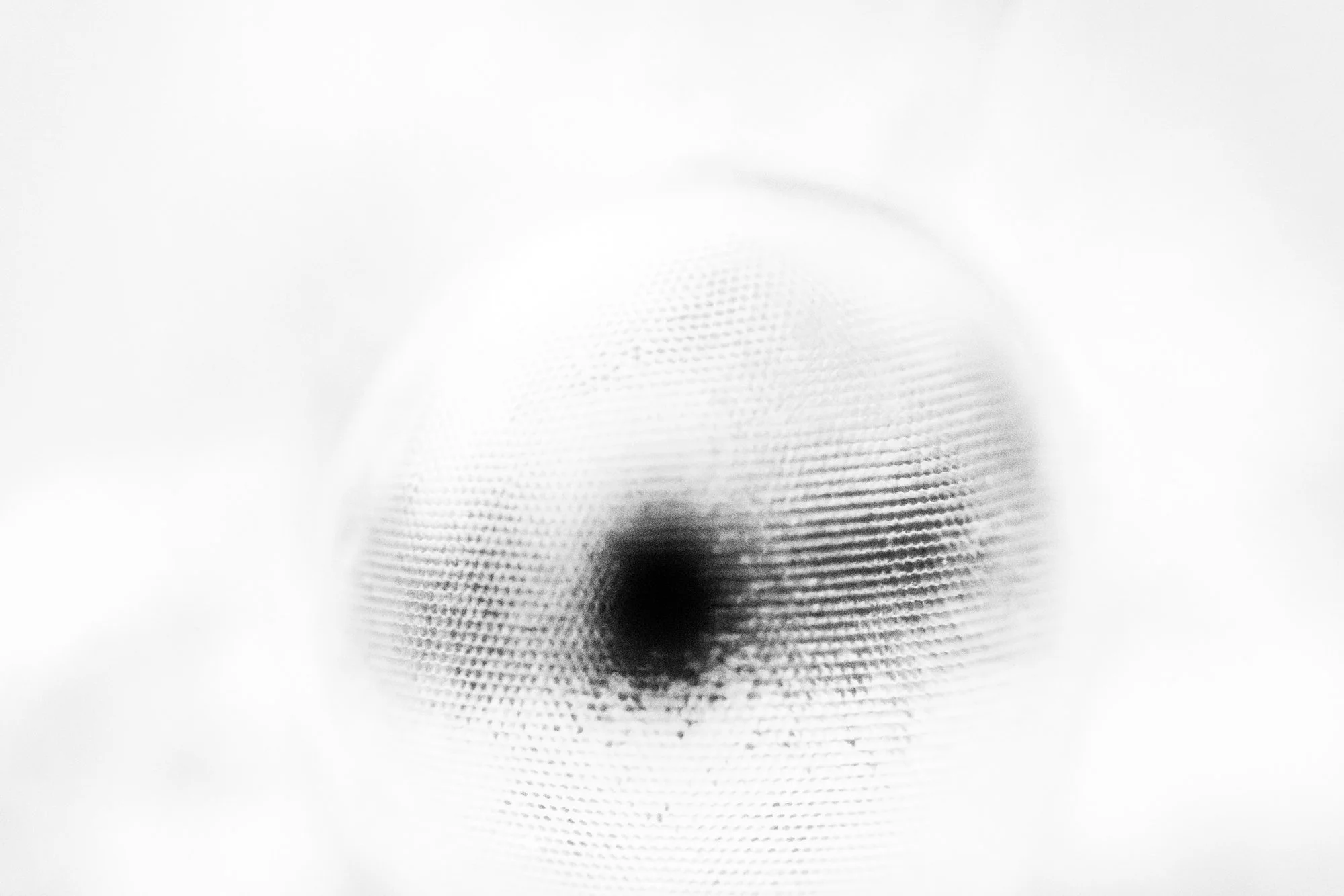 _H5_8444-CR3_DxO_DeepPRIME.jpg