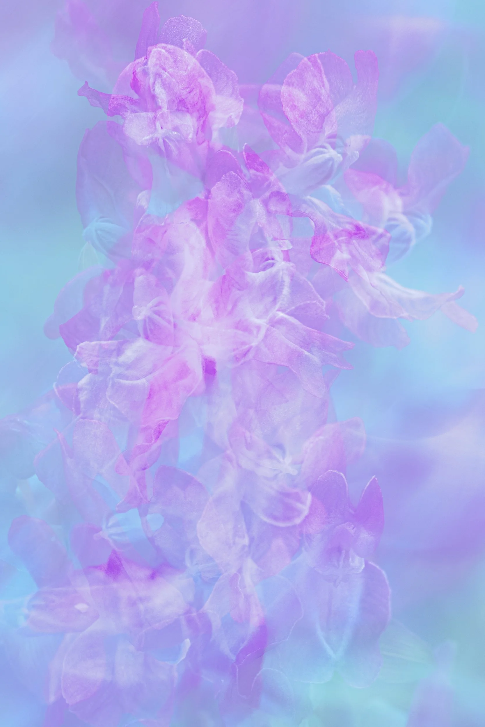 260324Bad Laer-3240154.jpg