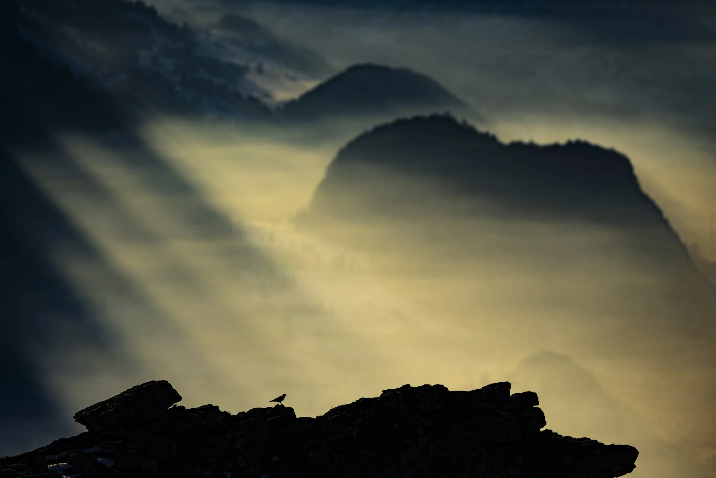 Karsten_Msebach_Niederhorn_Schweiz-15.jpg