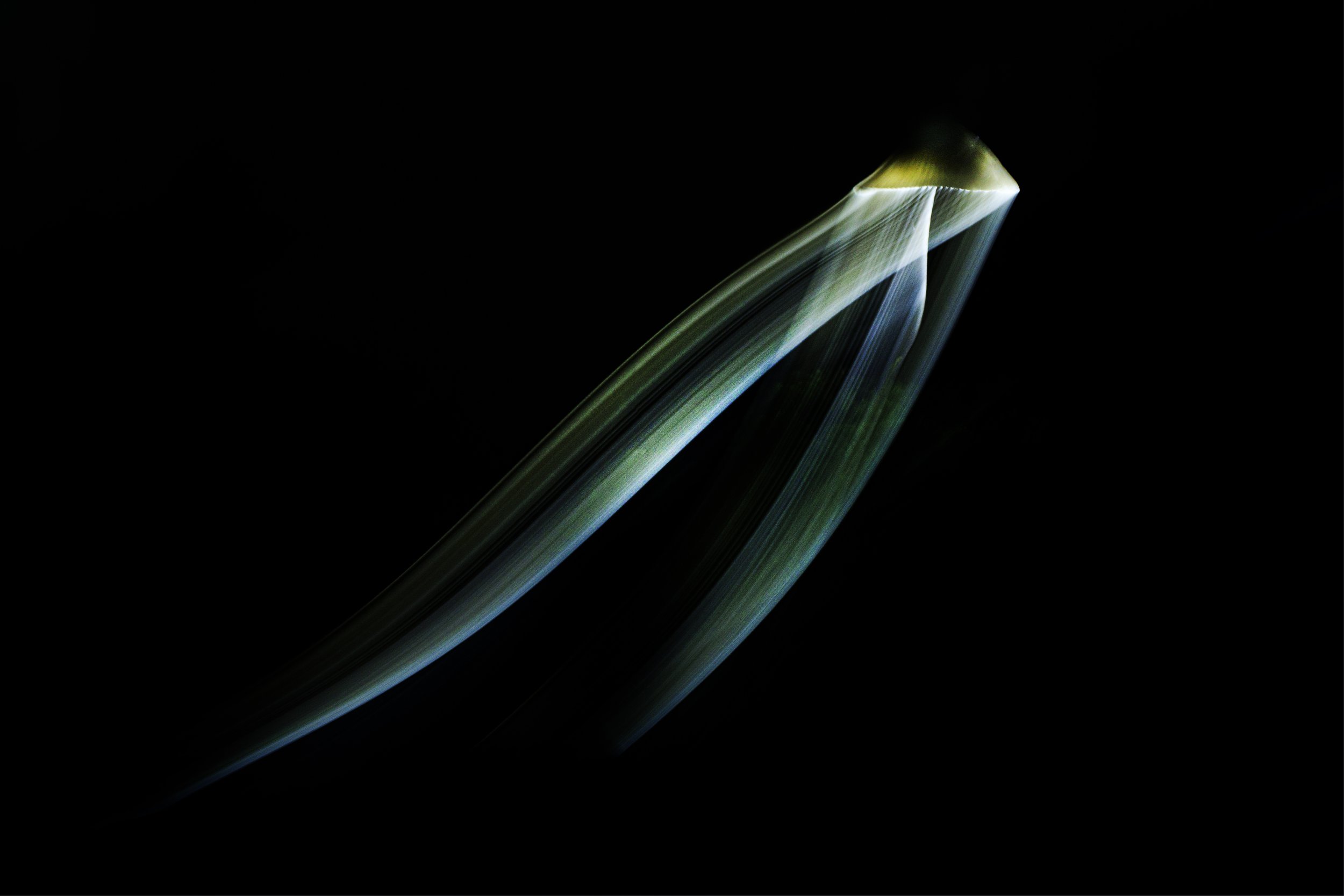 _H5_8258.jpg