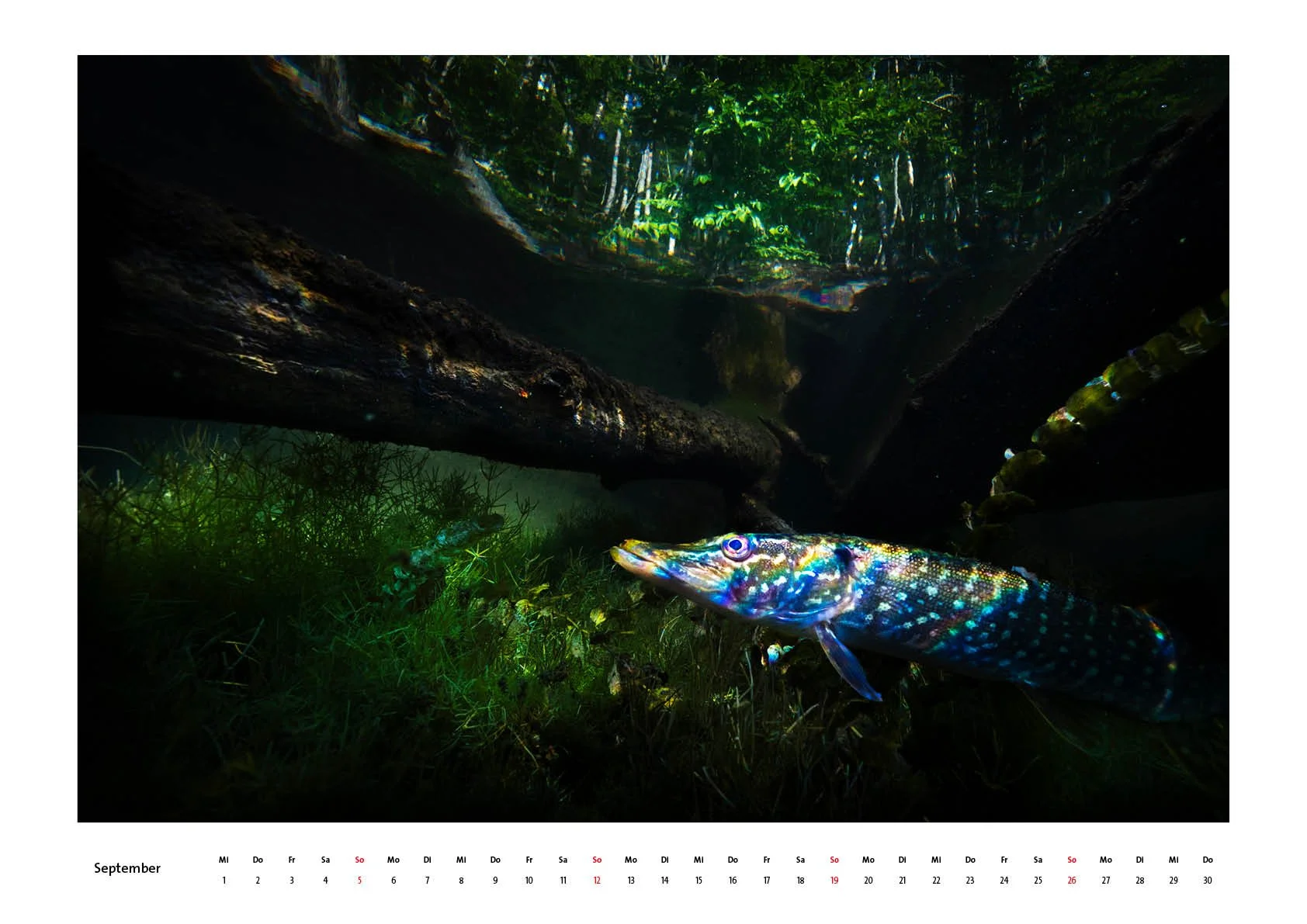 Kalender 202710.jpg