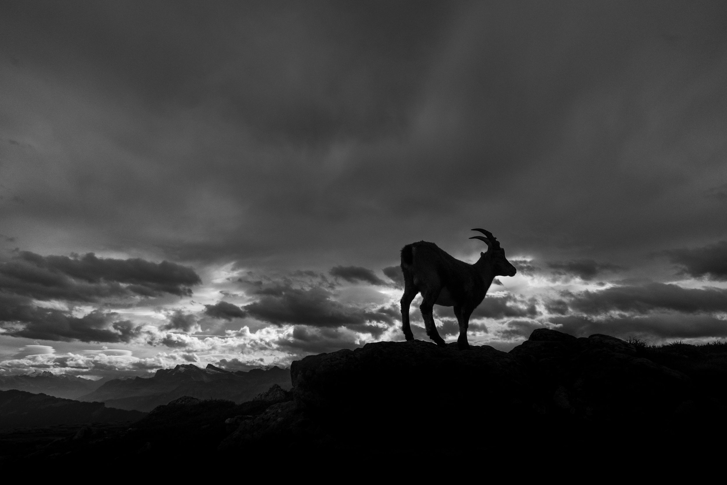 KM161024-4317.jpg
