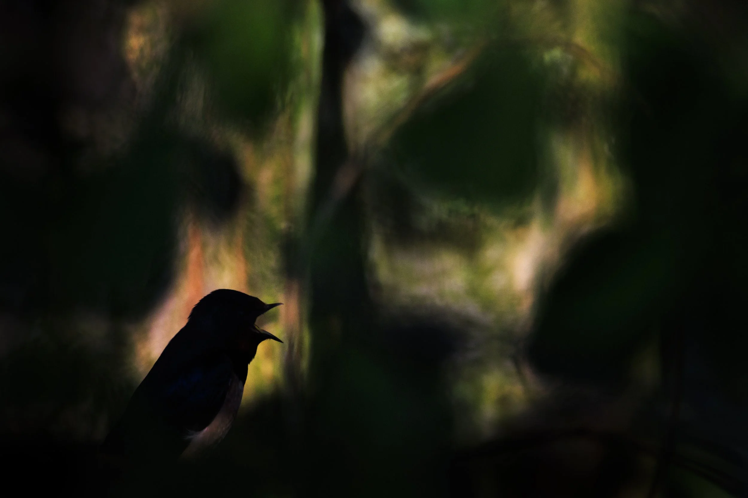 _19A5758.jpg