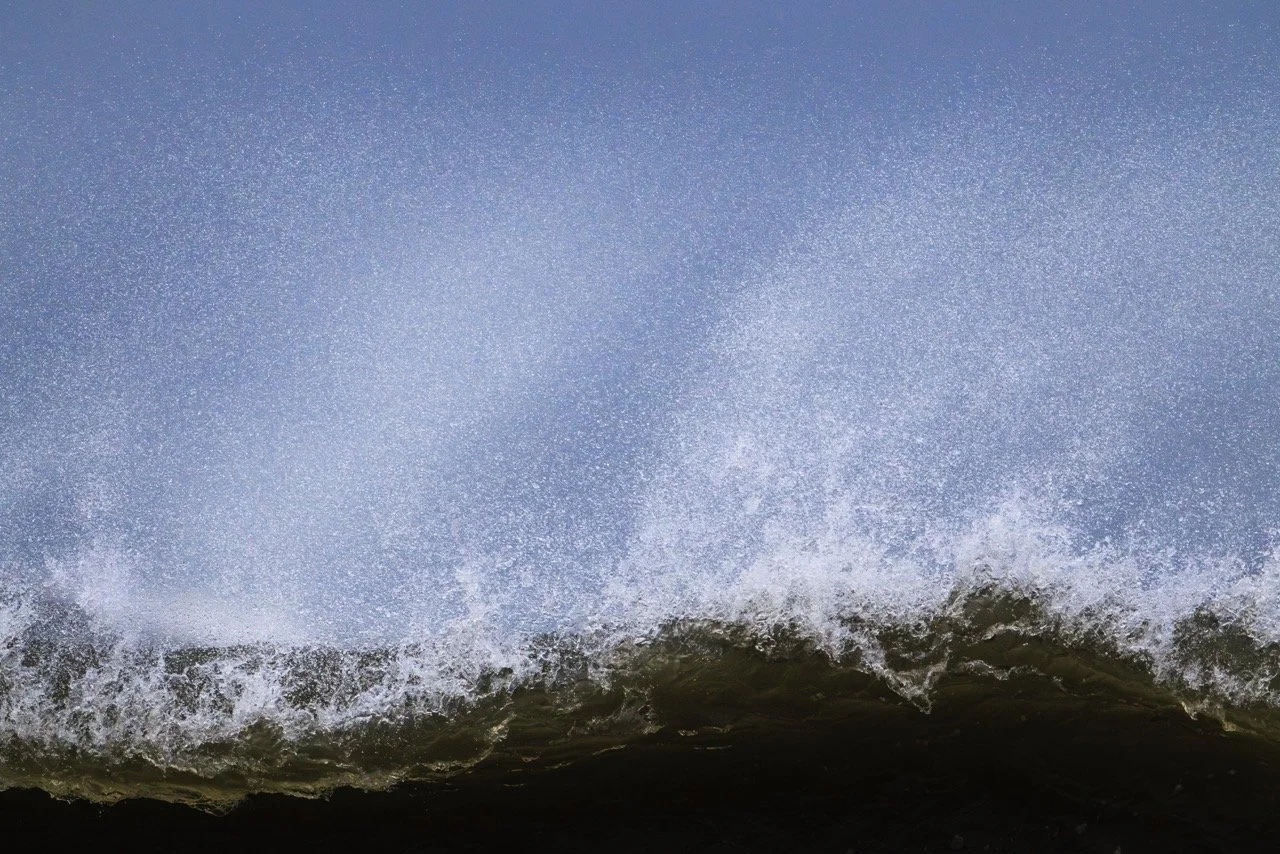 Groß (_H5_6688-Verbessert-NR).jpeg