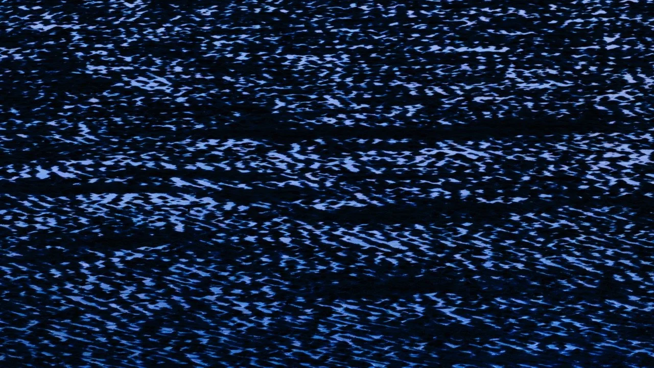 Groß (_H5_3967A-Verbessert-NR).jpeg