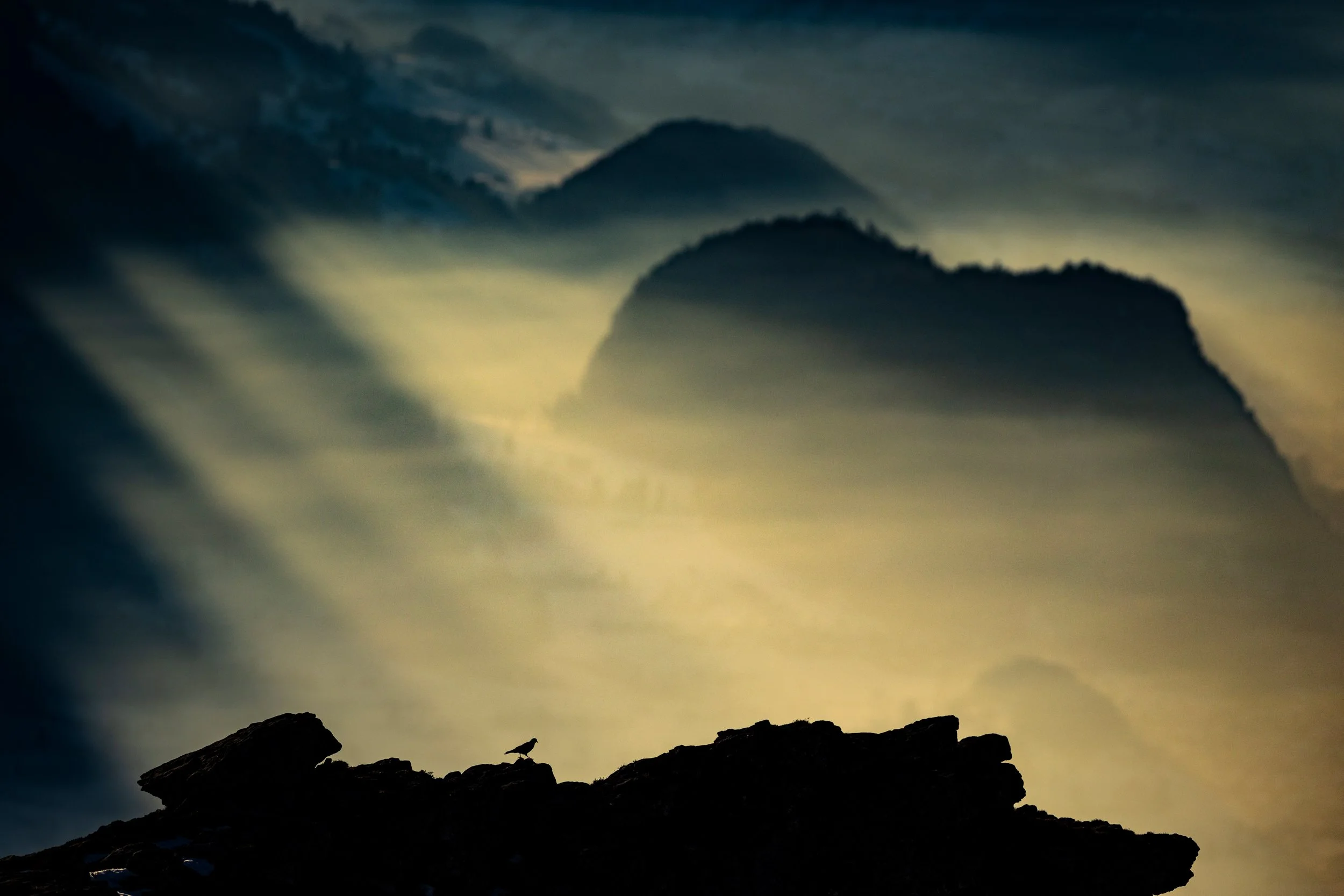 KM180125-141.jpg
