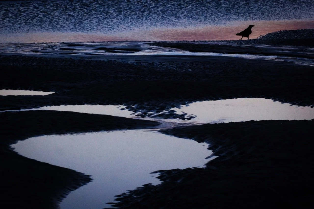 Groß (_H5_5571-Verbessert-NR).jpeg