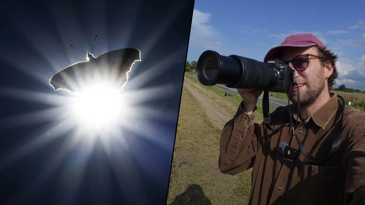 OnlinekursSommer25.1 Jan.jpg