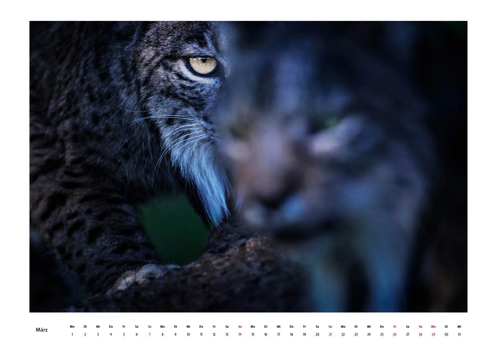 Kalender 20274.jpg