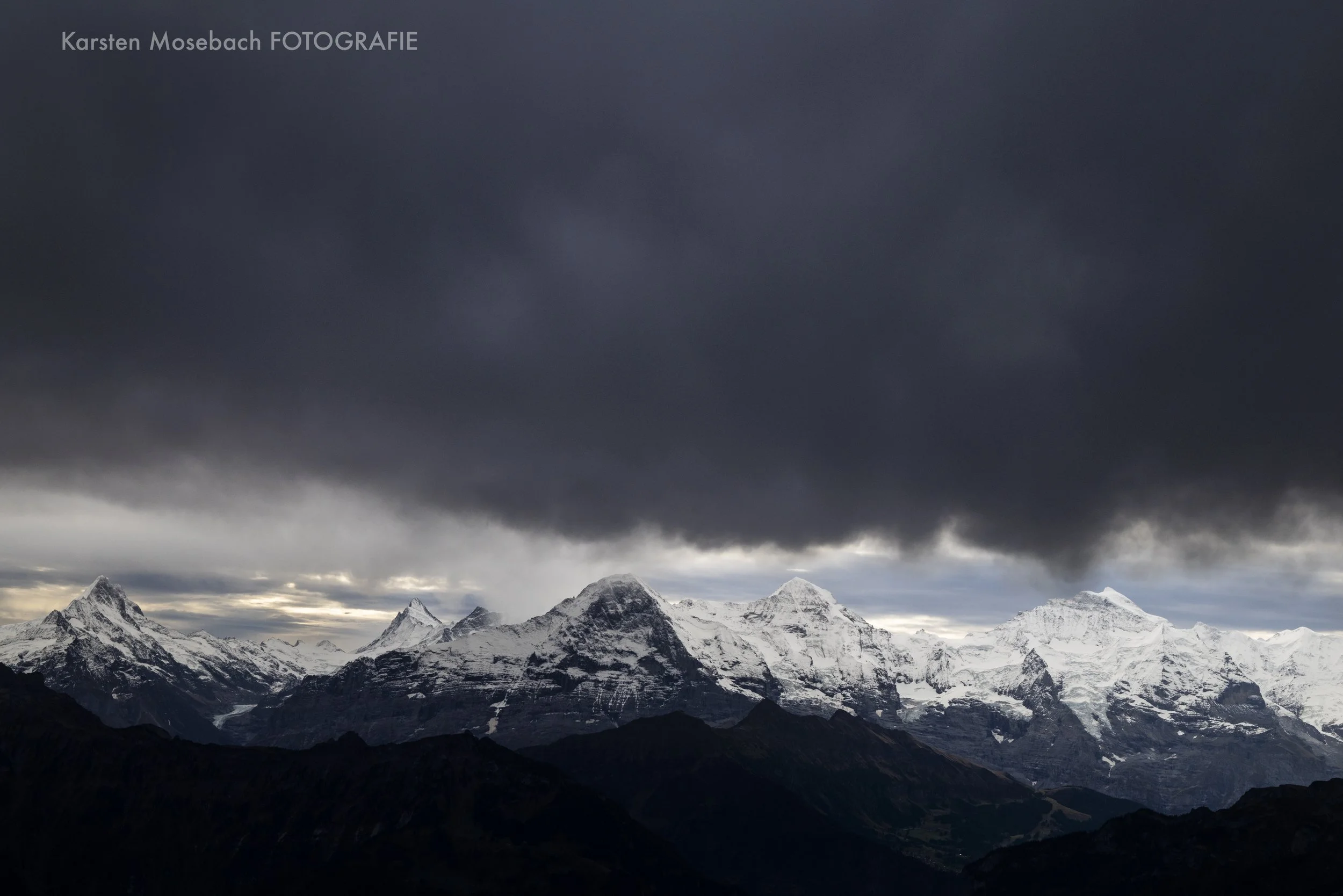 Karsten_Mosebach_Alpenschneehuhn_Niederhorn-0003.jpg