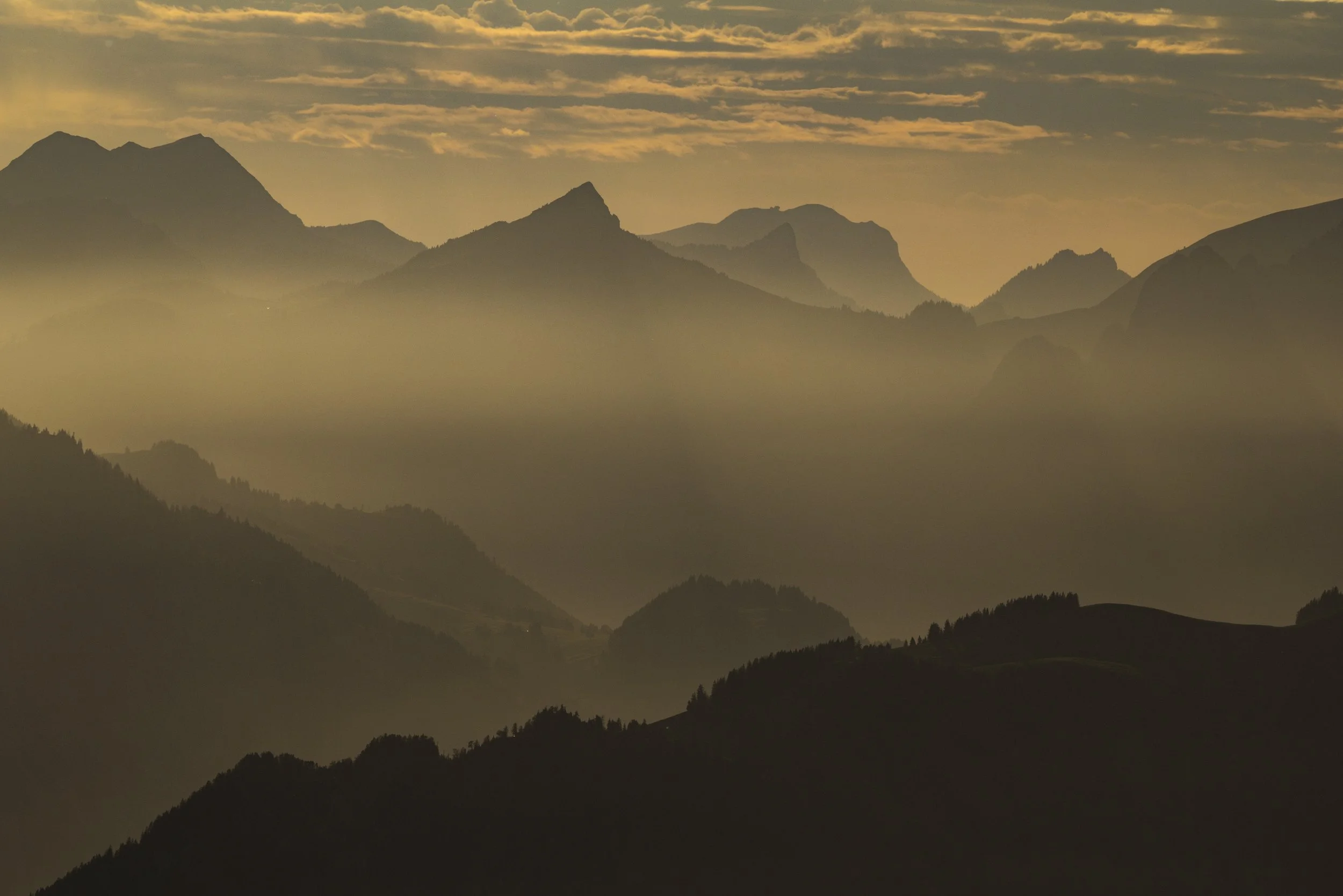 Karsten_Mosebach_Steinbock-5386.jpg