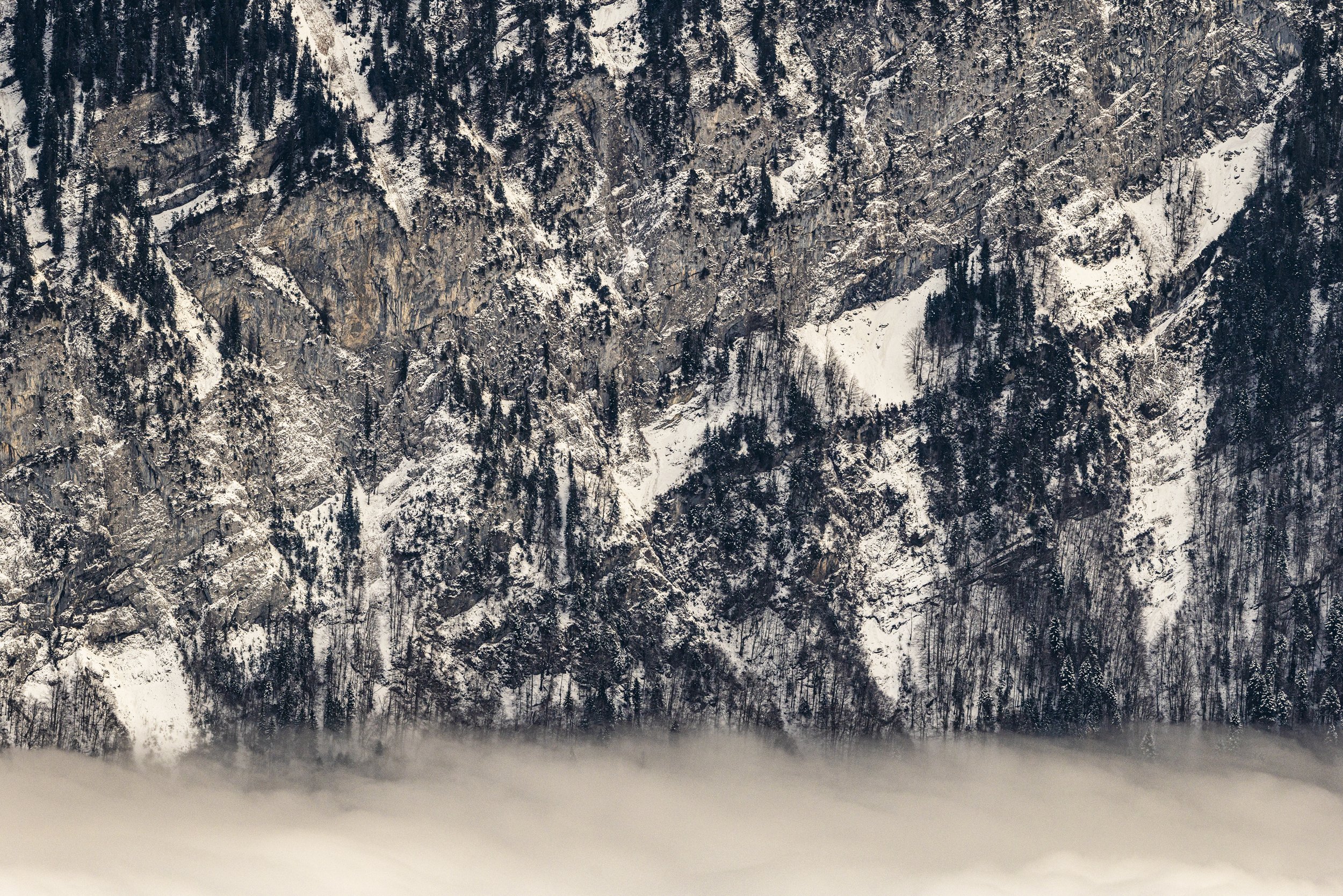 Karsten_Msebach_Niederhorn_Schweiz-59.jpg