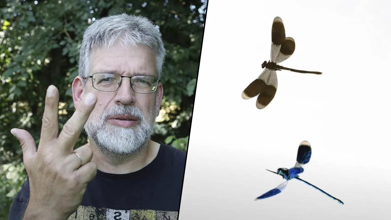 OnlinekursSommer25.1 Karsten.jpg