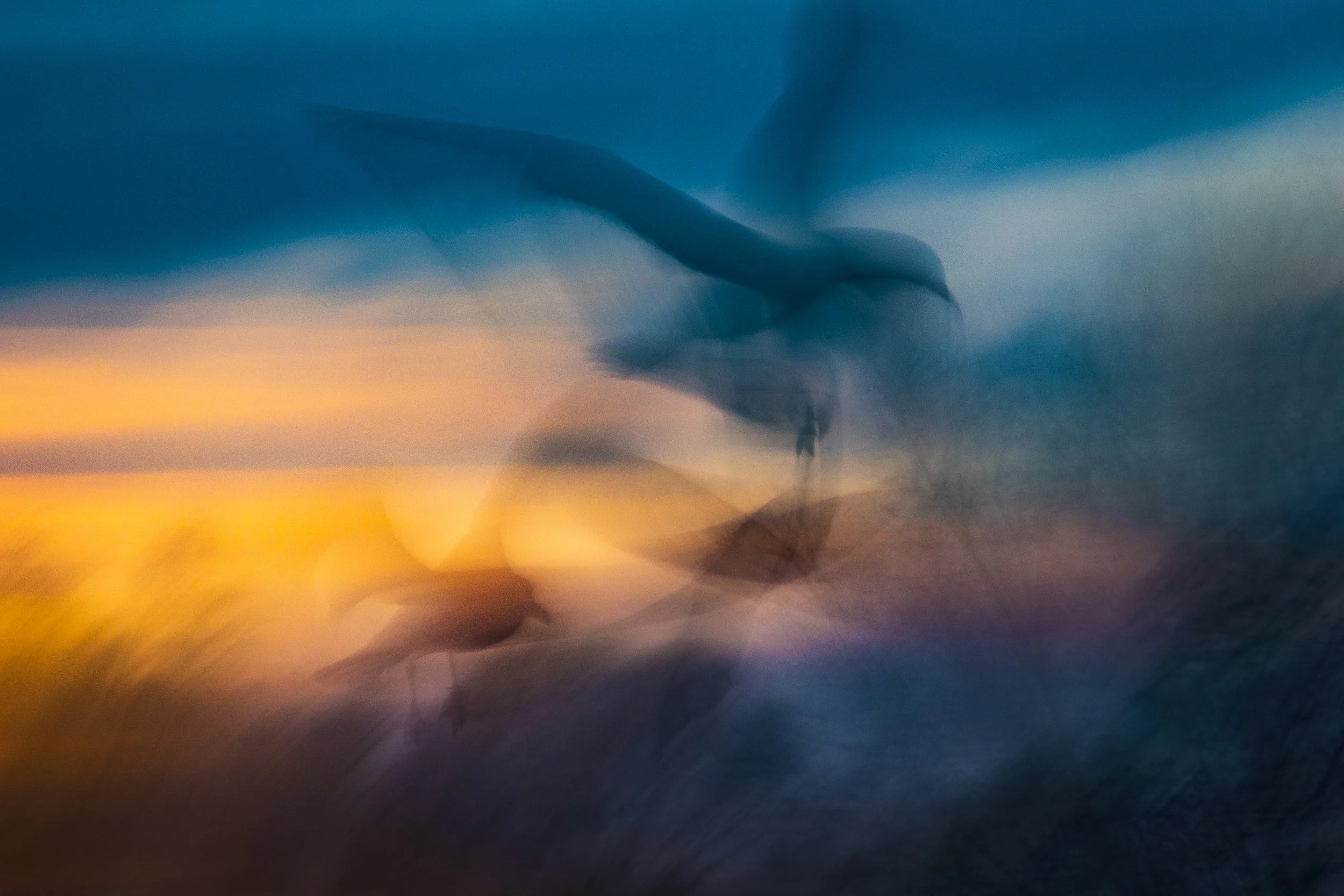 Onlinekurs Winter 2026